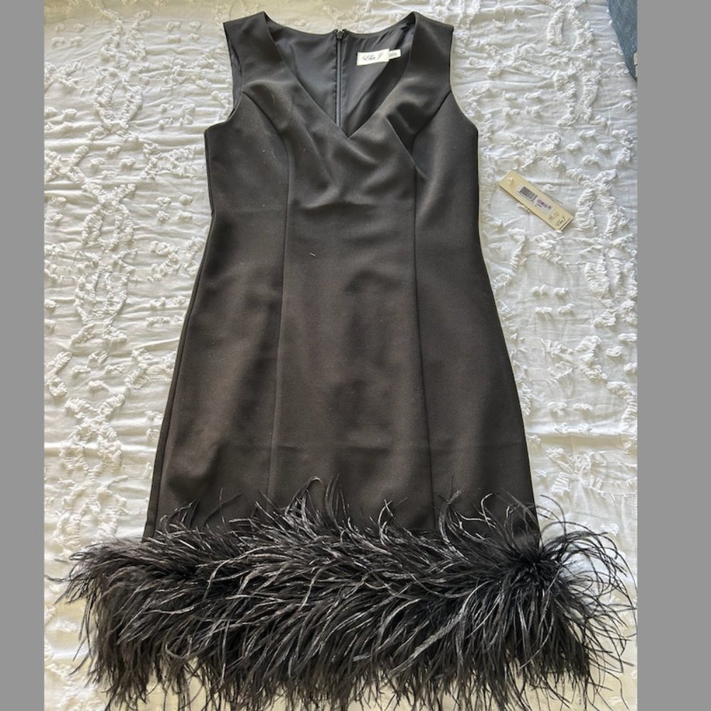 Eliza J Feather Trimmed Black Dress-NWT Size 6